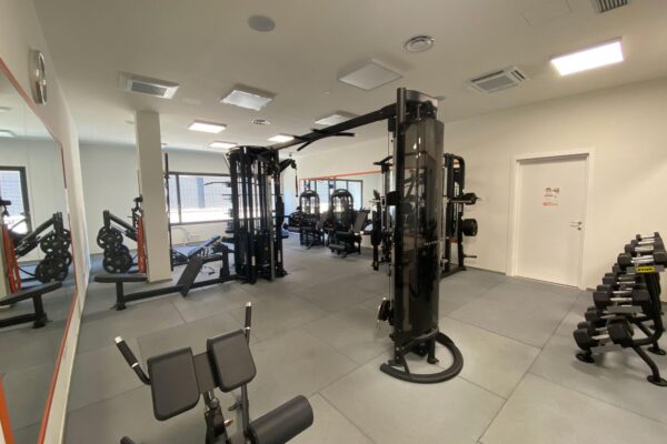 Palestra 8