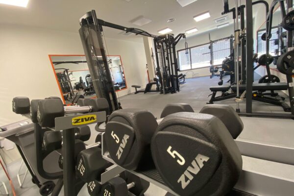 Palestra 7