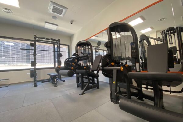 Palestra 3