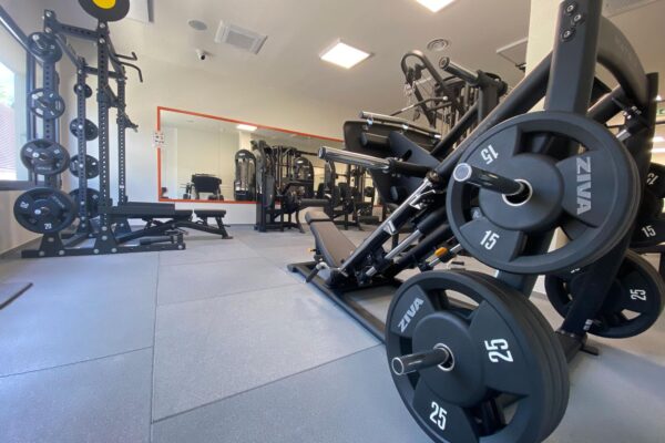 Palestra 2